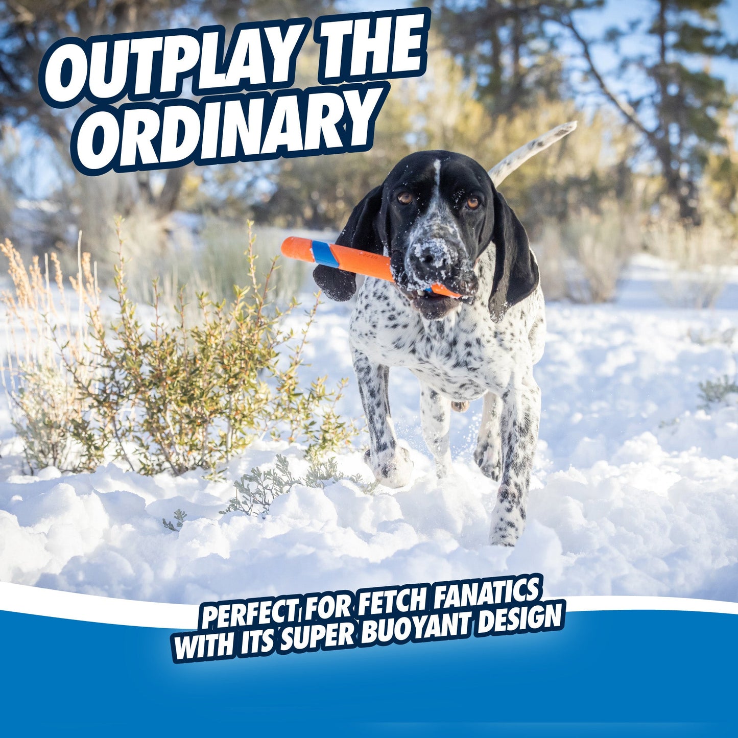 Chuckit! Ultra Fetch Stick - All For Animals
