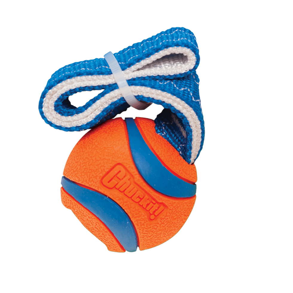 Chuckit! Ultra Tug - all for animals