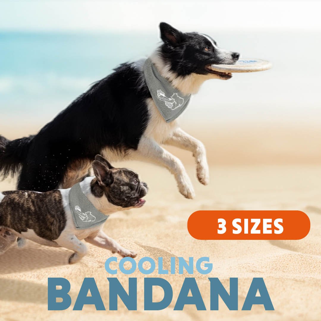 Coolpets Cooling Bandana Beige - all for animals