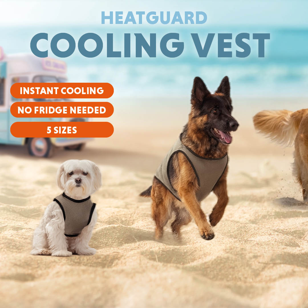 Coolpets Cooling Vest M (back size 30 cm) - all for animals