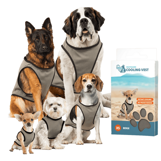 Coolpets Cooling Vest XS (back size 20 cm) - all for animals