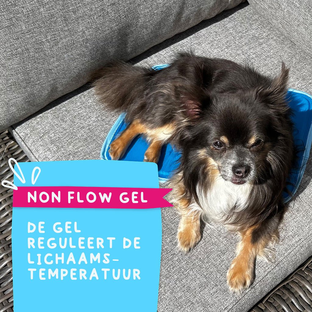 Coolpets Premium Solid gel Cooling Mat XS 40x30cm - all for animals