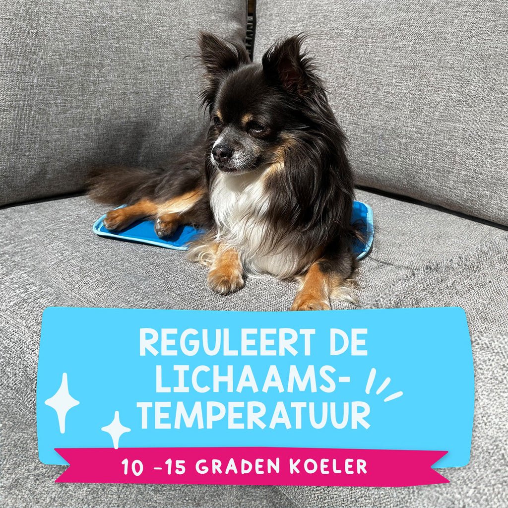 Coolpets Premium Solid gel Cooling Mat XS 40x30cm - all for animals