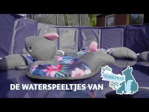 CoolPets Pull Me! Fishy Flamingo - All For Animals