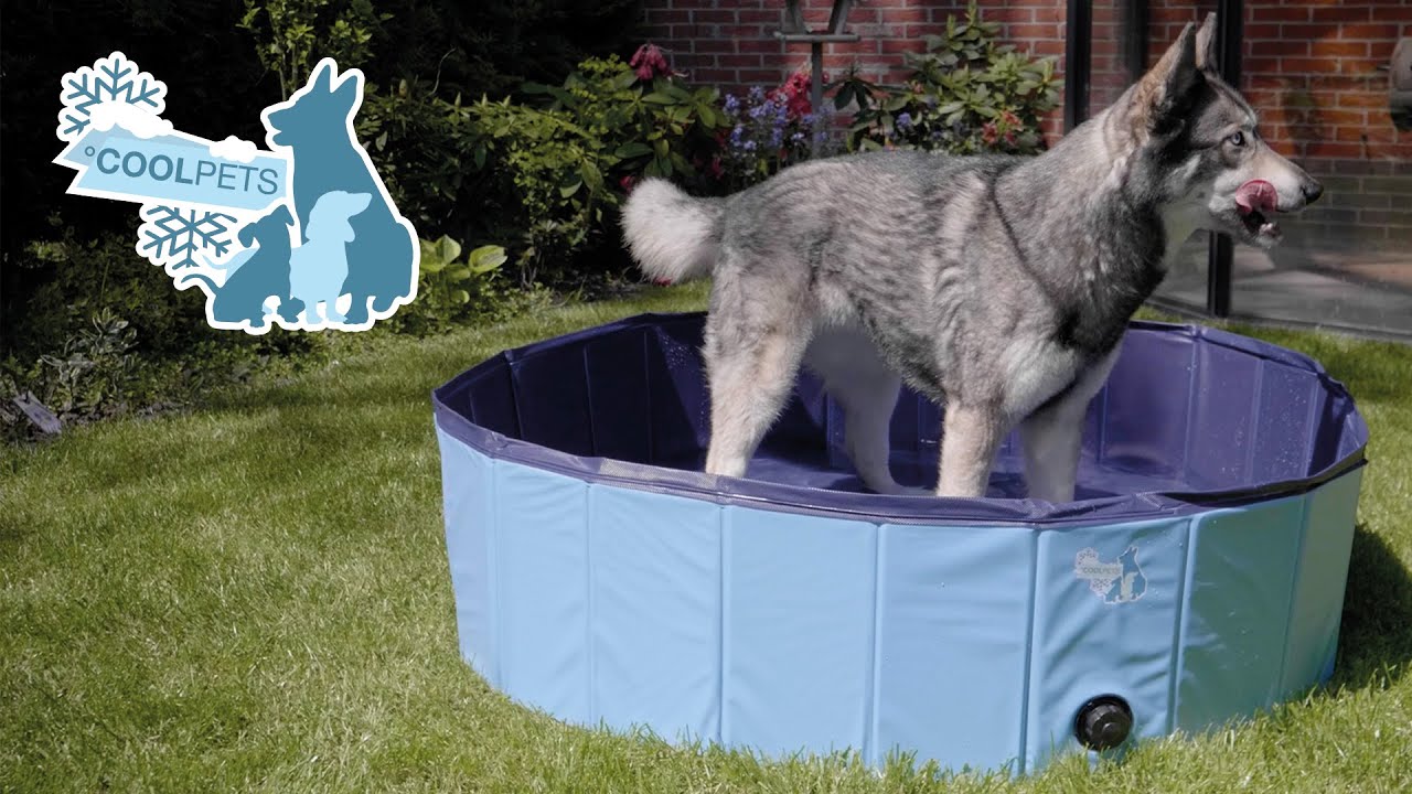 CoolPets Splash Dog Pool ø 80 x 20 cm - all for animals