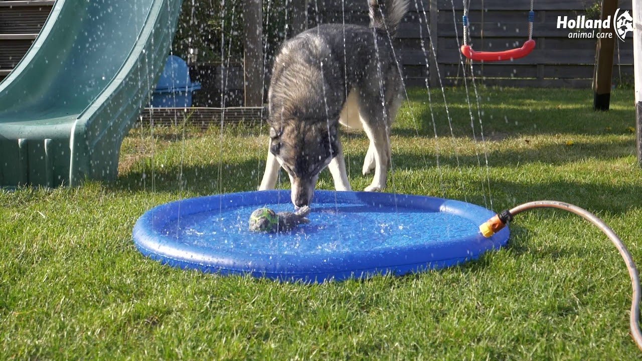 CoolPets Splash Pool Water Sprinkler 100 cm - all for animals