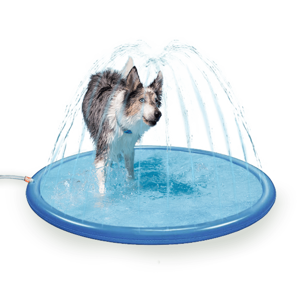Coolpets Splash Sprinkler Pad - all for animals