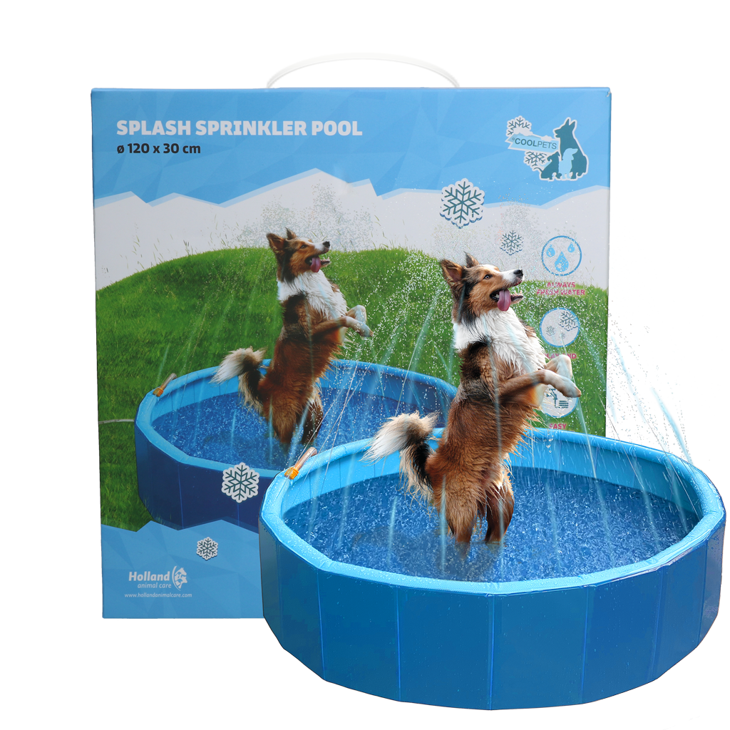 Coolpets Splash Sprinkler Pool - All For Animals