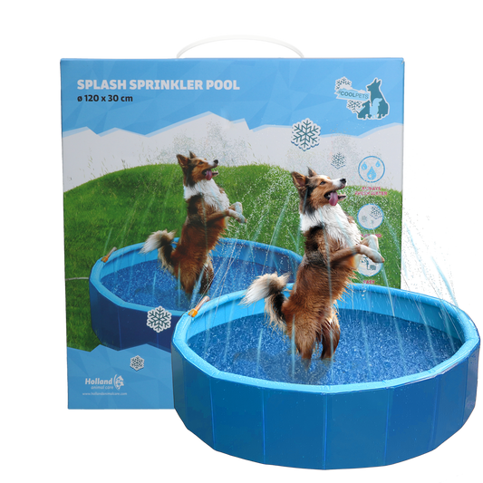 Coolpets Splash Sprinkler Pool - All For Animals