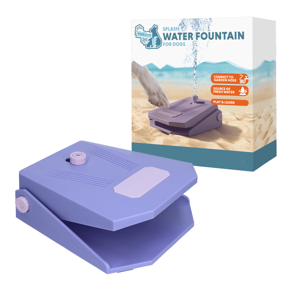 Coolpets Splash Water Fountain - All For Animals