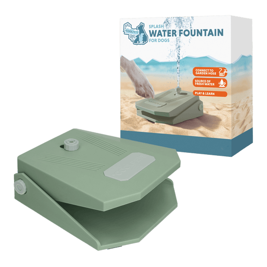 Coolpets Splash Water Fountain - All For Animals