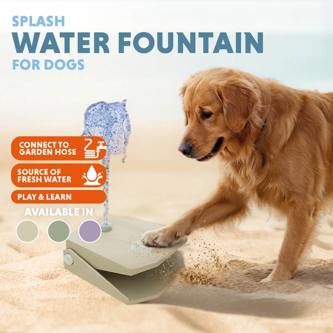 Coolpets Splash Water Fountain - All For Animals