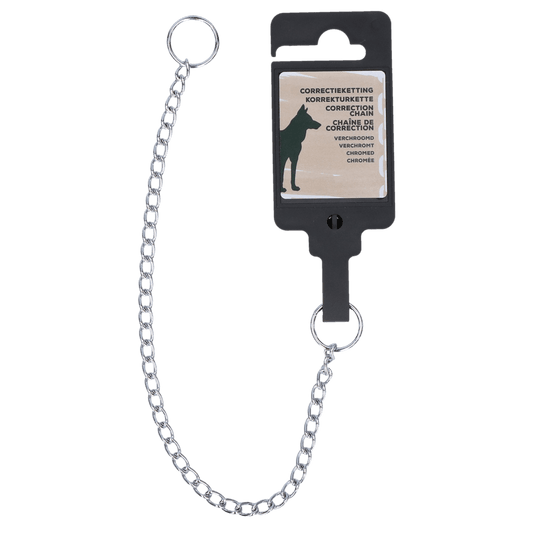 Correctieketting Verchroomd 1,6 x 300 mm - all for animals