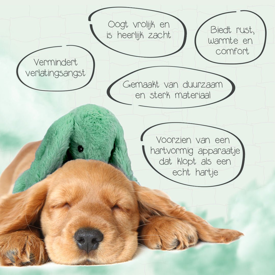 Cozy Dog Bunny - all for animals