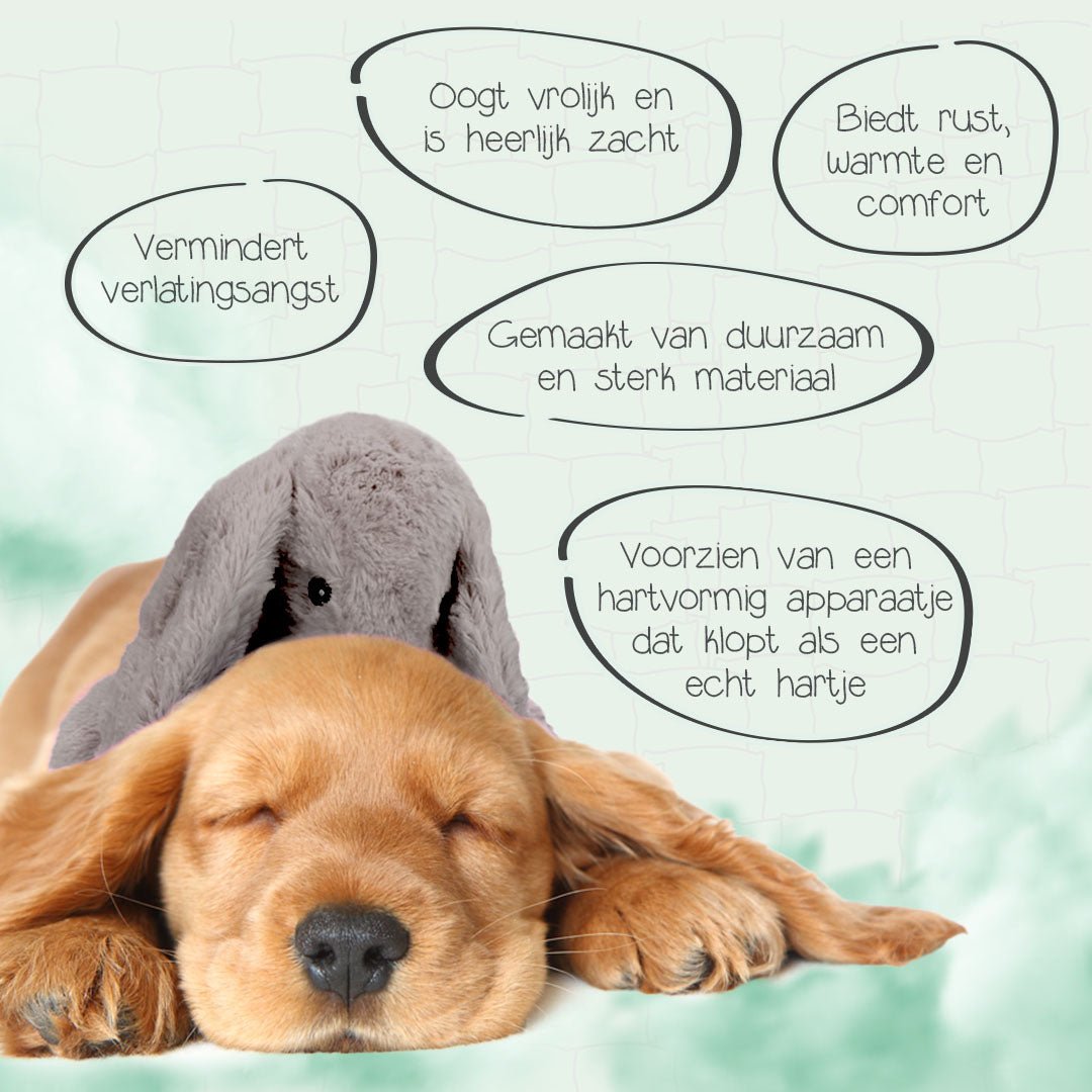 Cozy Dog Bunny - all for animals