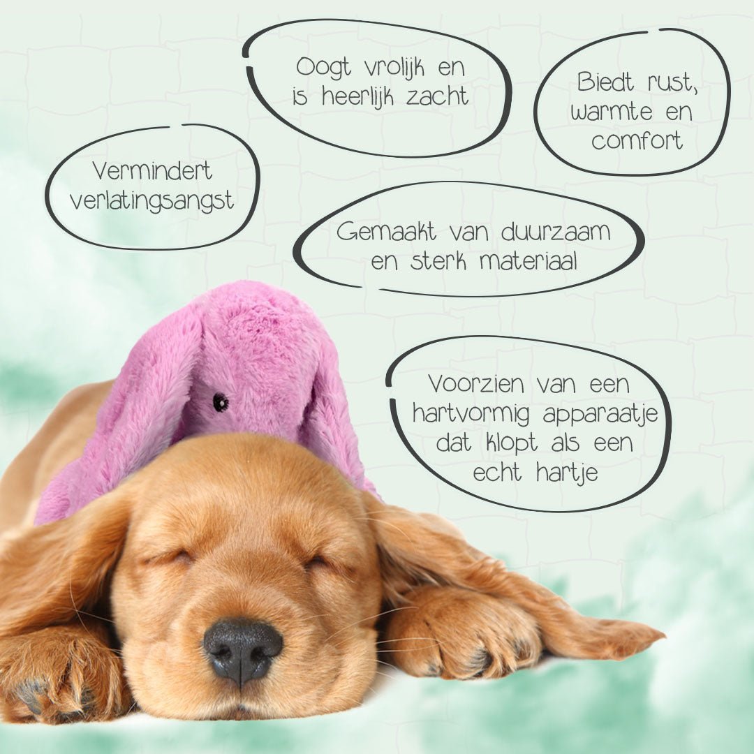 Cozy Dog Bunny - all for animals