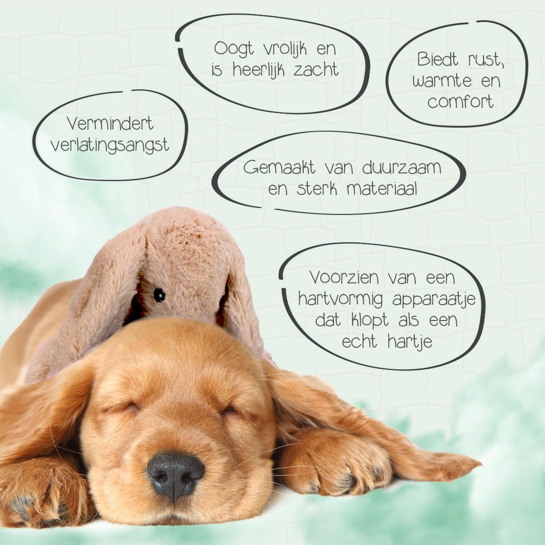 Cozy Dog Bunny - all for animals