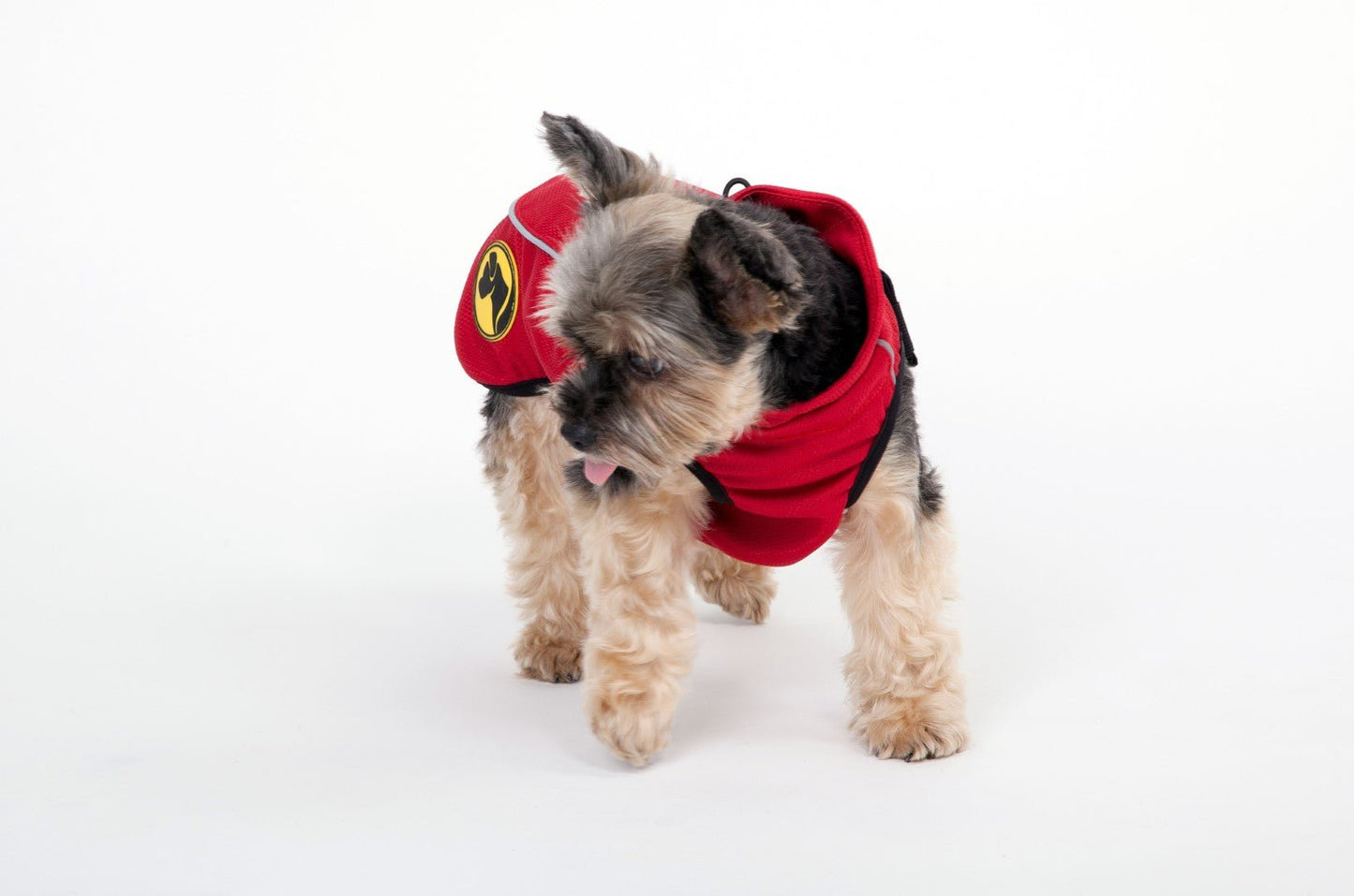Dog Armor Knockdown Coat (Insect Shield) XXXXS (20cm ruglengte) - all for animals