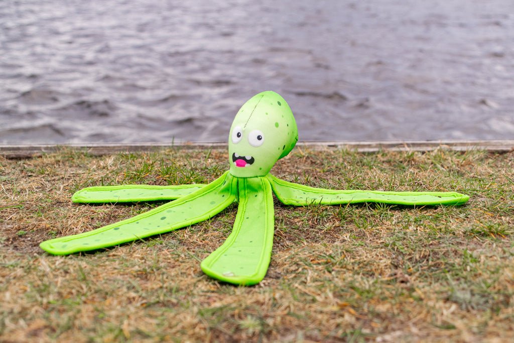 Dog Comets Alien Octo M - all for animals