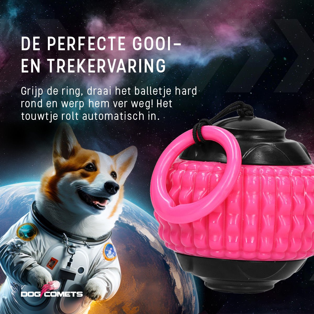 Dog Comets Blazar Jet - all for animals