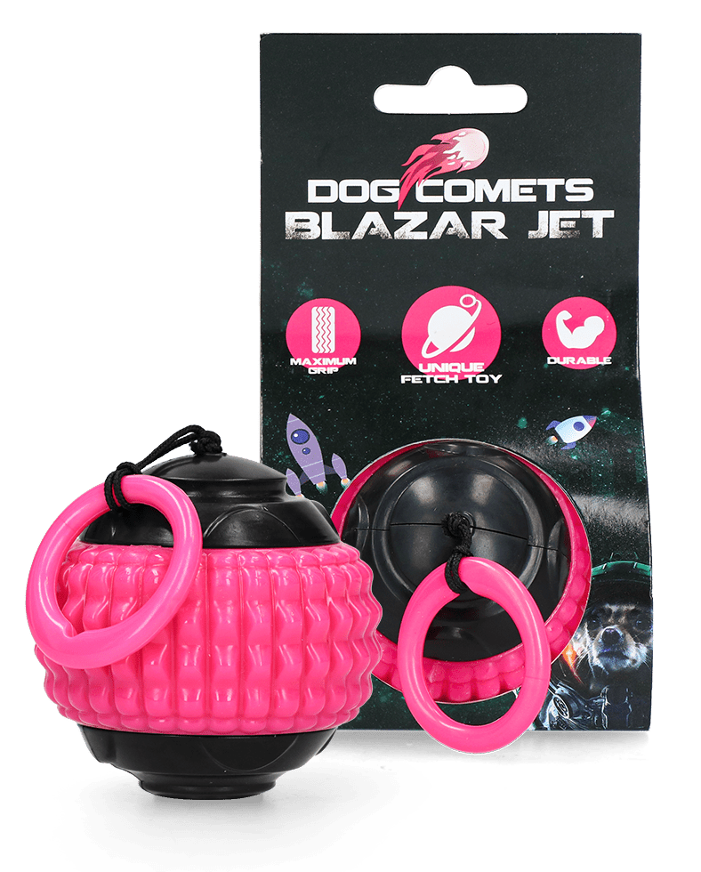 Dog Comets Blazar Jet - all for animals