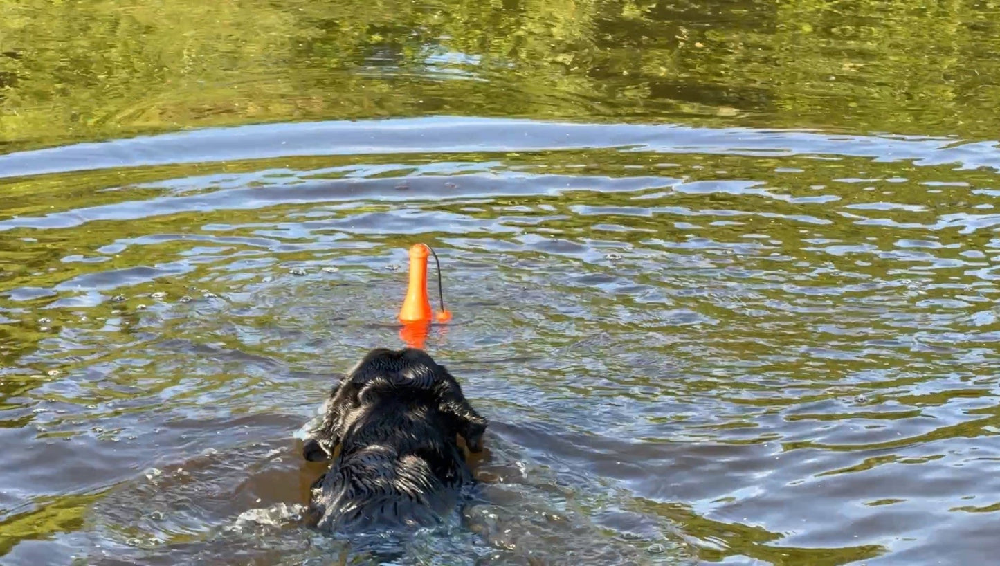 Dog Comets Bobber - all for animals