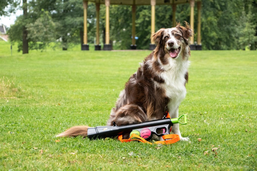 Dog Comets Comet Launcher - all for animals