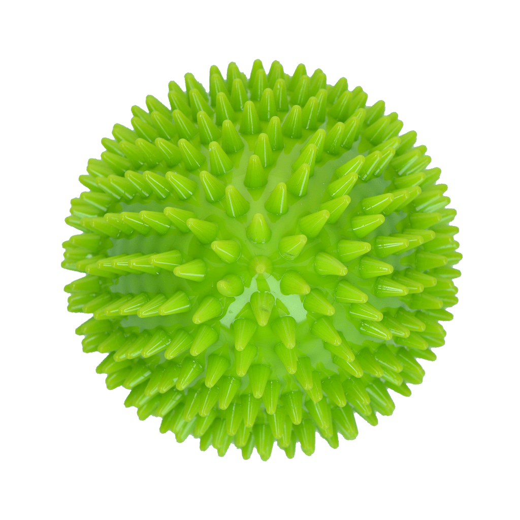 Dog Comets Cosmic Egg Groen - all for animals