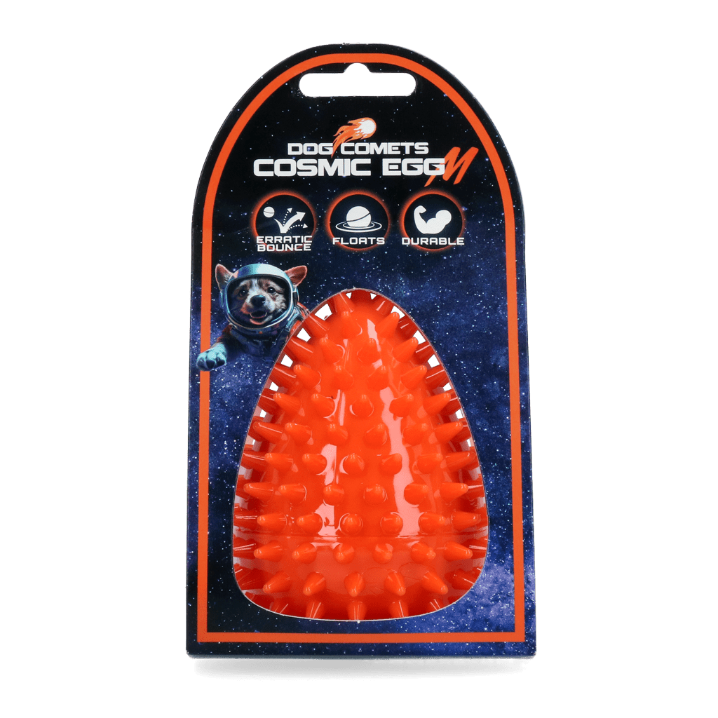 Dog Comets Cosmic Egg Oranje - all for animals