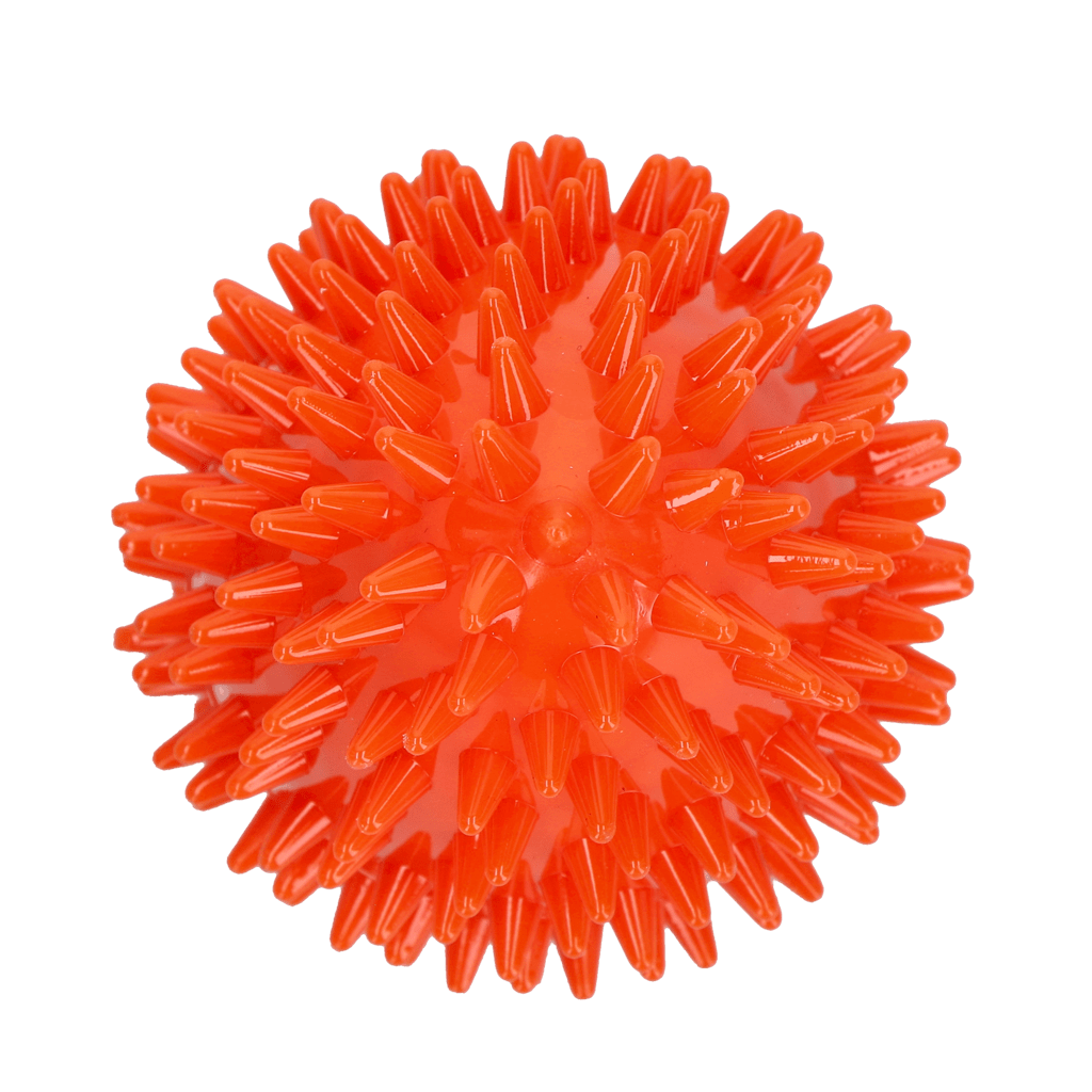 Dog Comets Cosmic Egg Oranje - all for animals