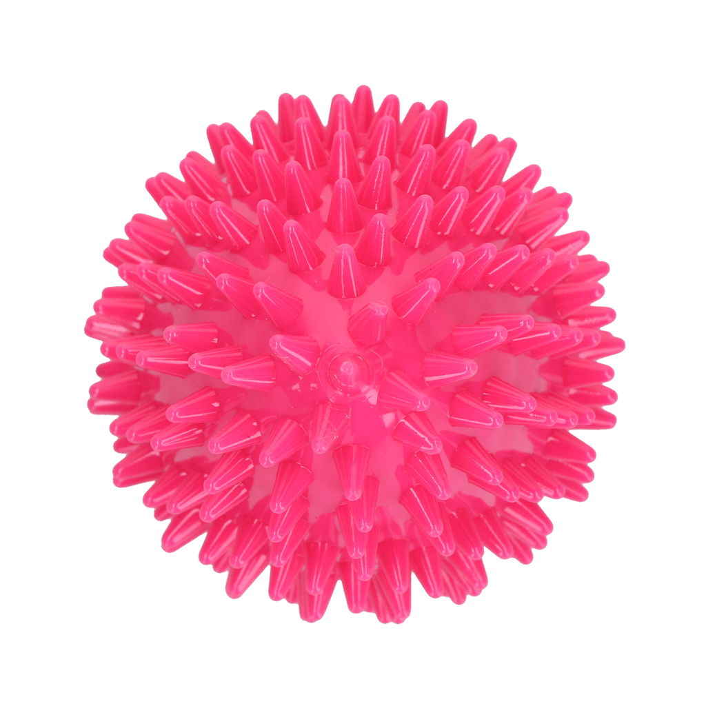 Dog Comets Cosmic Egg Roze - all for animals
