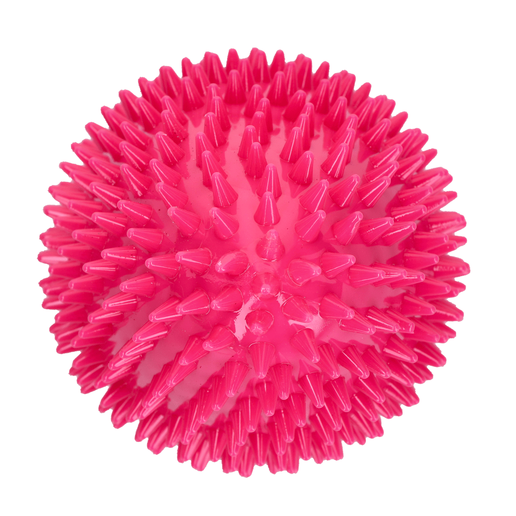 Dog Comets Cosmic Egg Roze - all for animals