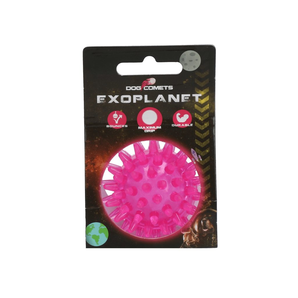 Dog Comets Exoplanet Egelbal S - all for animals