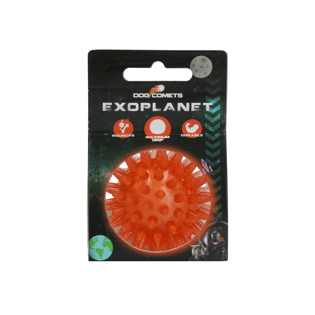 Dog Comets Exoplanet Egelbal S - all for animals