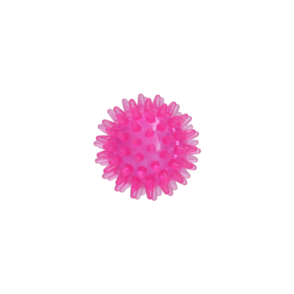 Dog Comets Exoplanet Egelbal S - all for animals