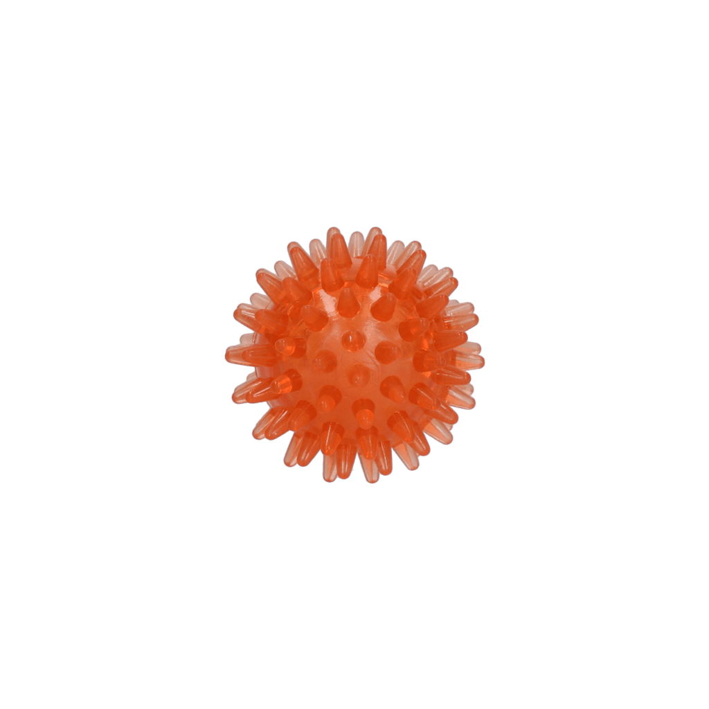 Dog Comets Exoplanet Egelbal S - all for animals