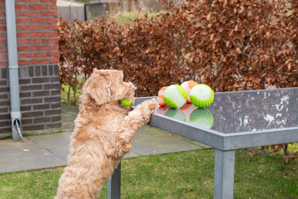 Dog Comets Glow In The Dark Moon Bal S - all for animals