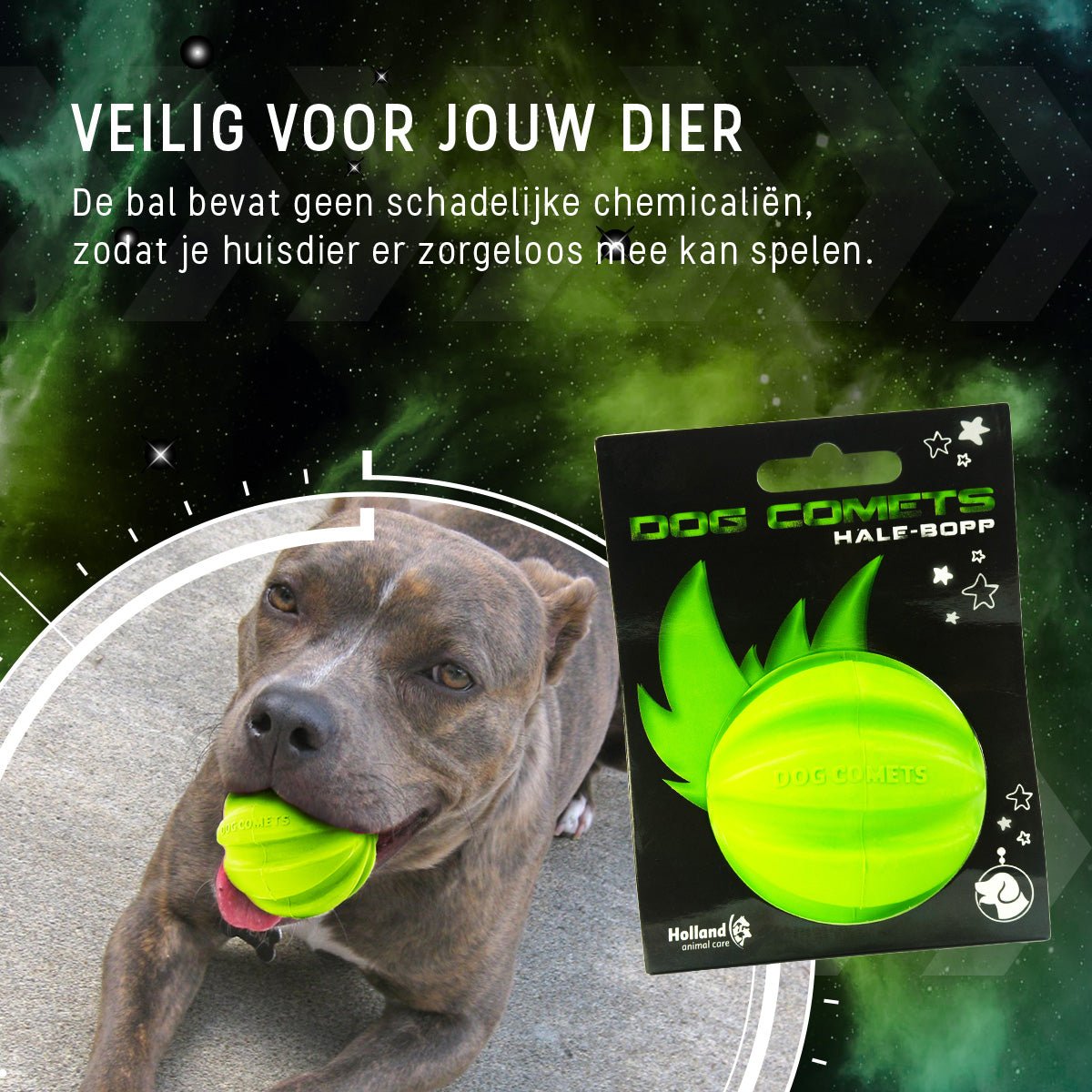 Dog Comets Hale Bopp Groen - all for animals