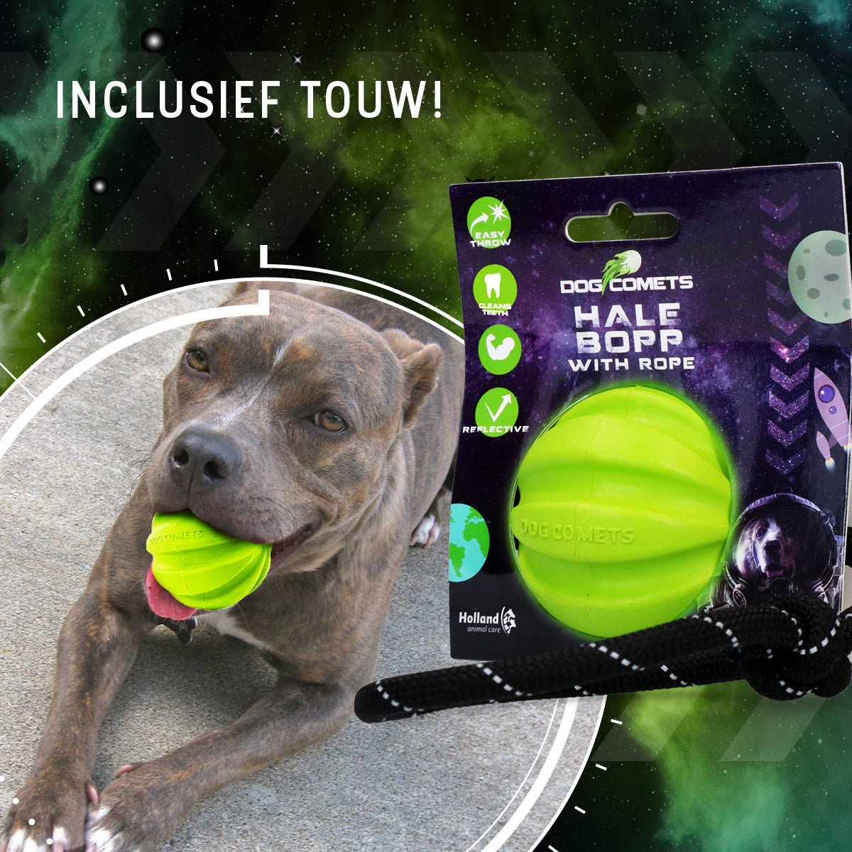 Dog Comets Hale Bopp Met Touw Groen - all for animals