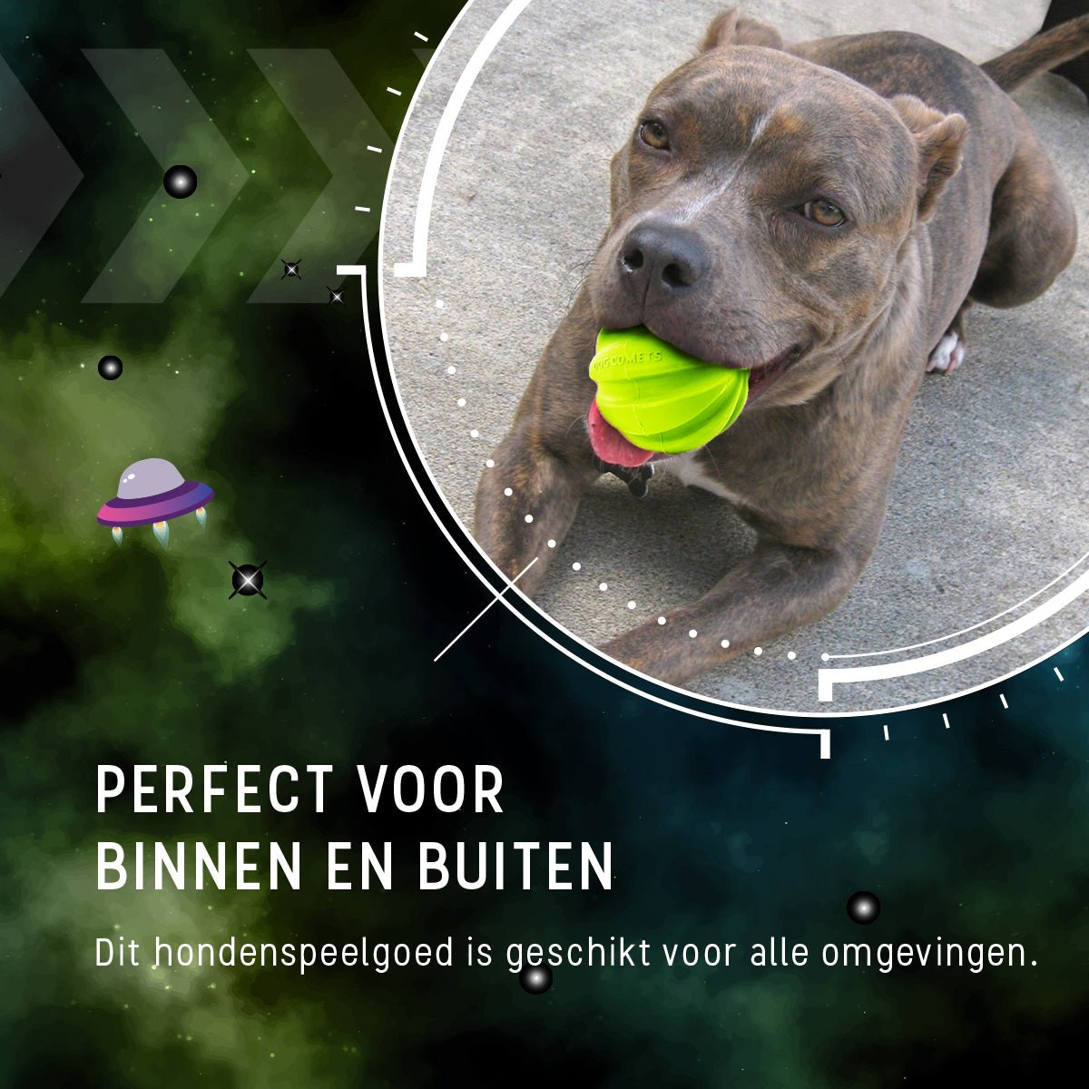 Dog Comets Hale Bopp Met Touw Groen - all for animals
