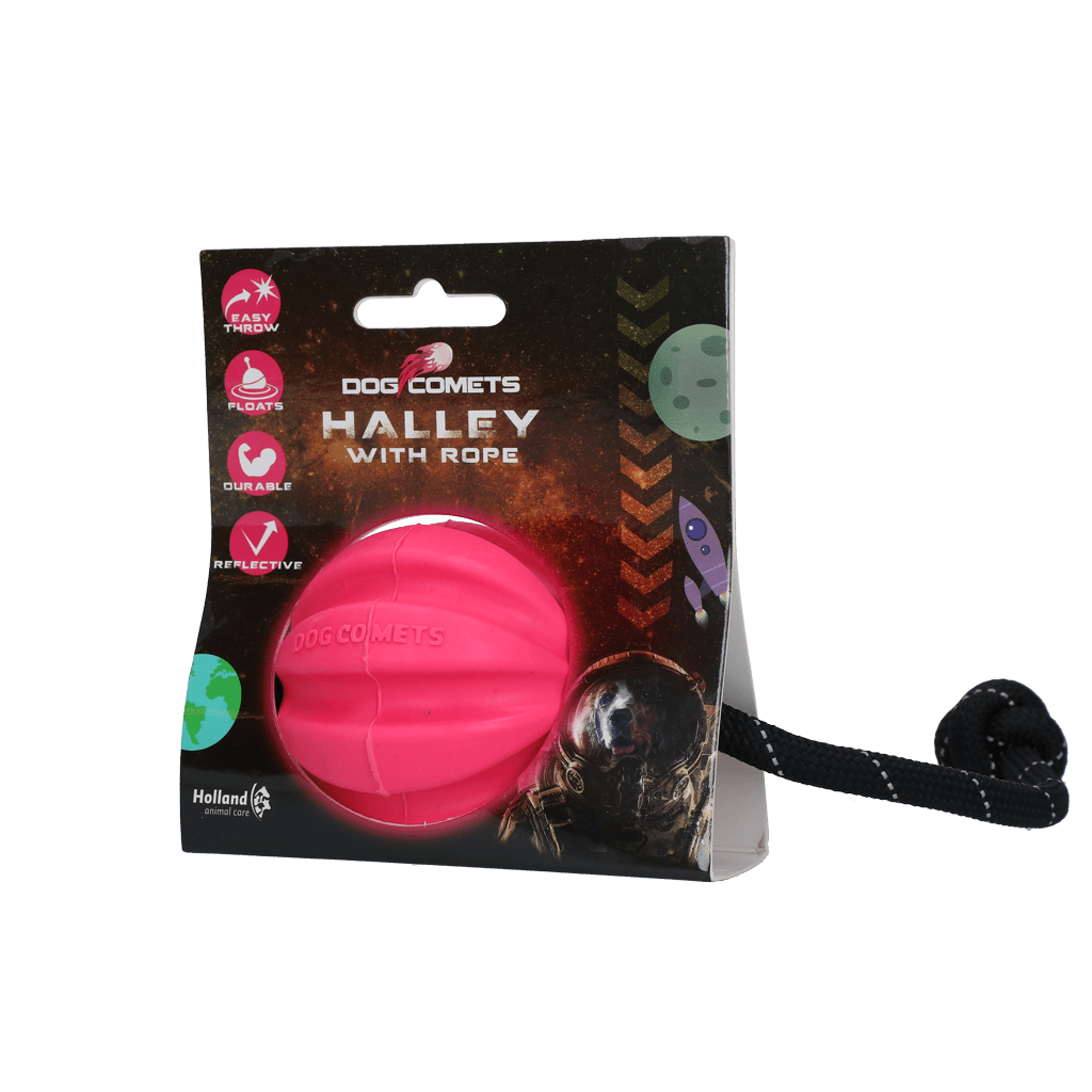 Dog Comets Halley Met Touw Roze - all for animals