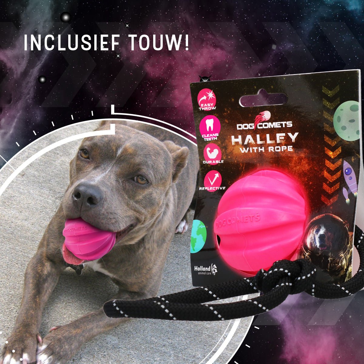 Dog Comets Halley Met Touw Roze - all for animals
