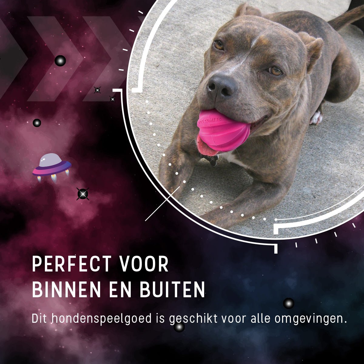 Dog Comets Halley Met Touw Roze - all for animals