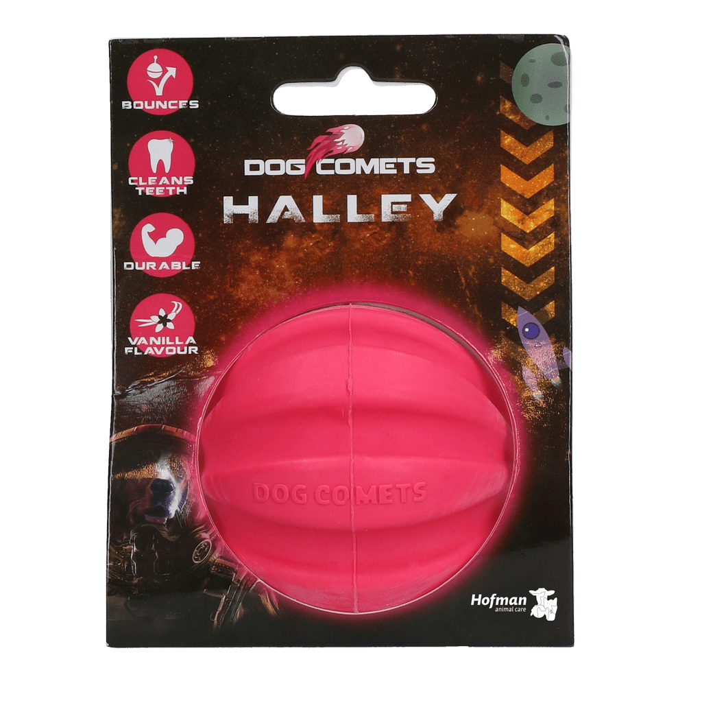 Dog Comets Halley Roze - all for animals