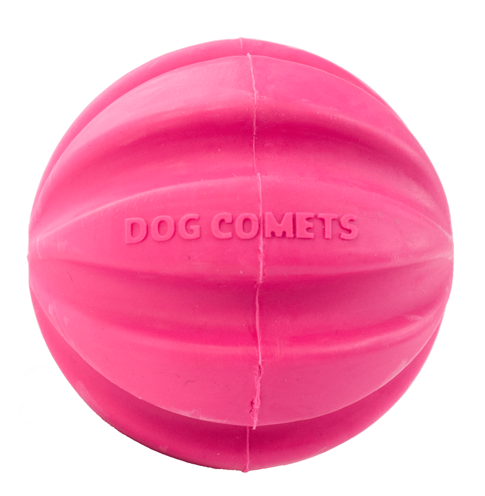 Dog Comets Halley Roze - all for animals
