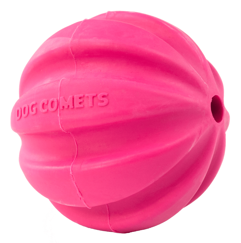 Dog Comets Halley Roze - all for animals