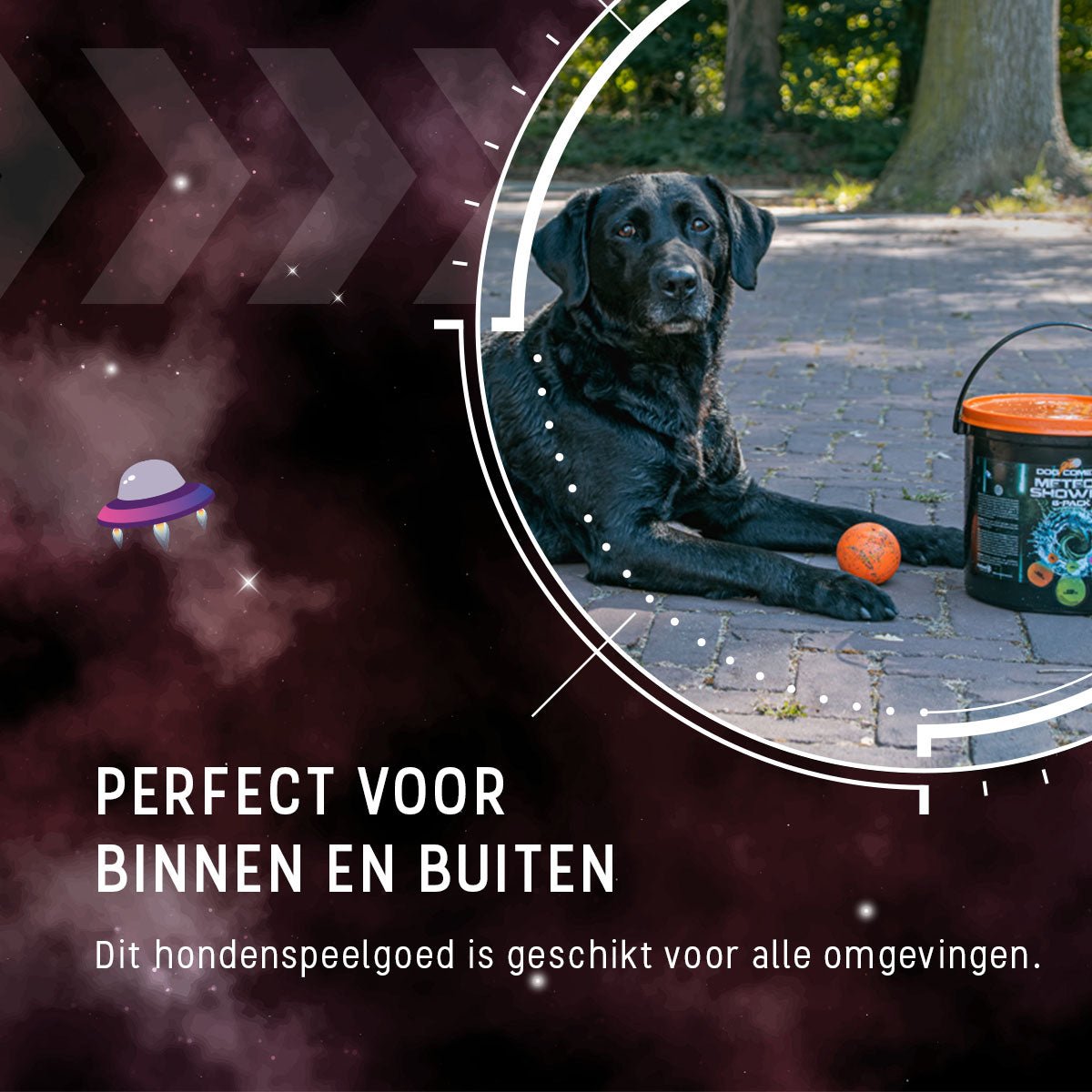 Dog Comets Meteor Shower (Emmer met 6 M Stardust ballen) - all for animals