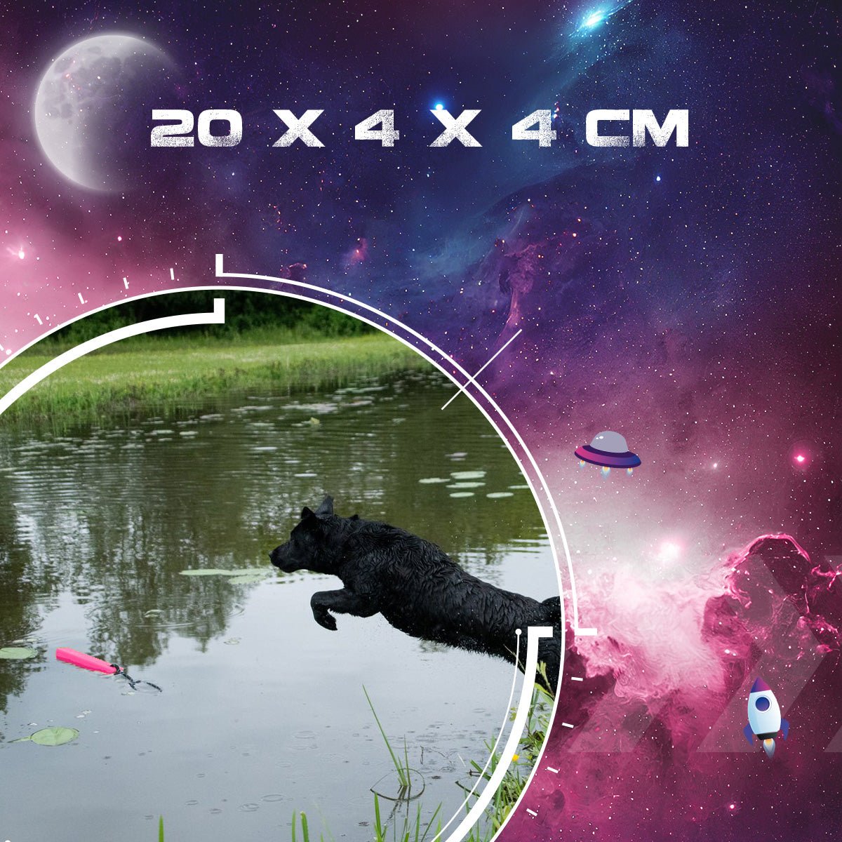 Dog Comets Orion - all for animals