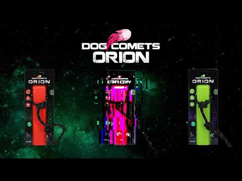 Dog Comets Orion - all for animals