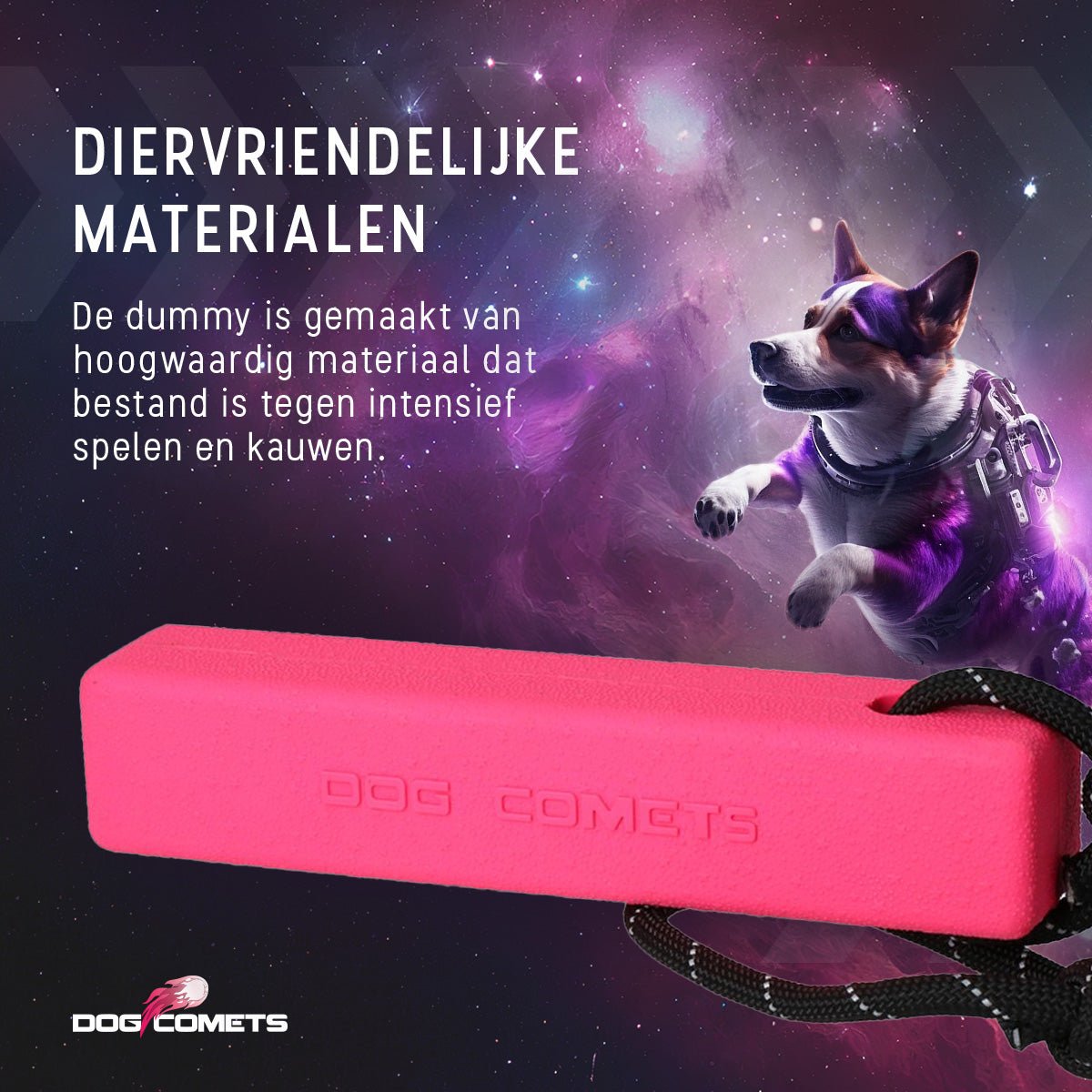 Dog Comets Orion - all for animals